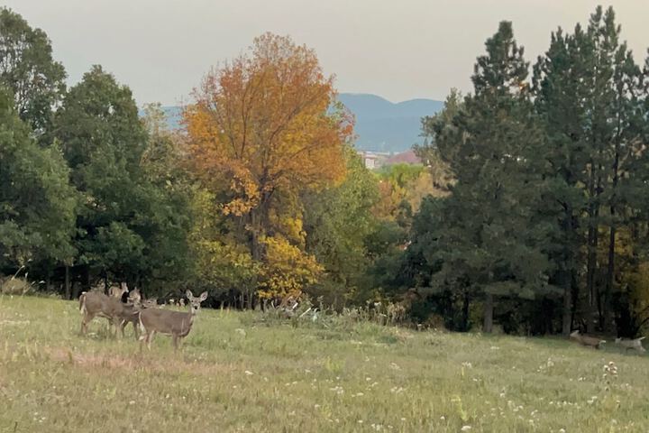 Days End Campground & RV Park