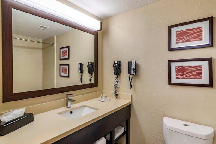 Comfort Inn & Suites near Six Flags