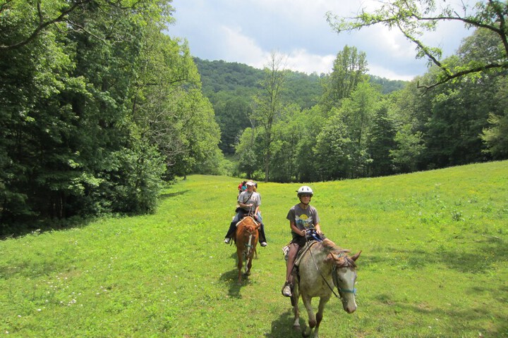 Arrowmont Stables & Cabins
