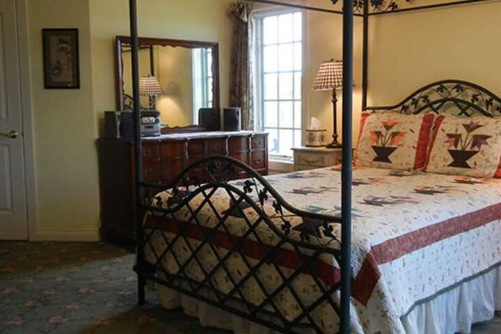 The Feathered Star B & B
