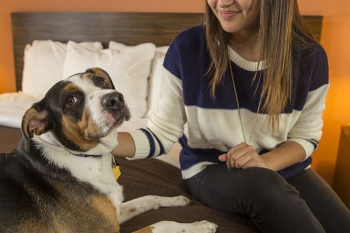 Pet Friendly 69 of 74