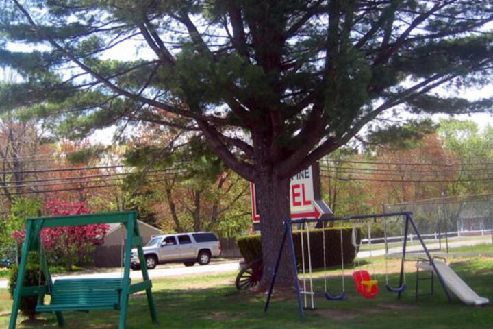 Knotty Pine Motel