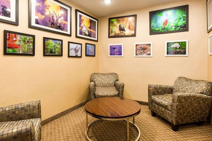 Comfort Inn & Suites Winnie