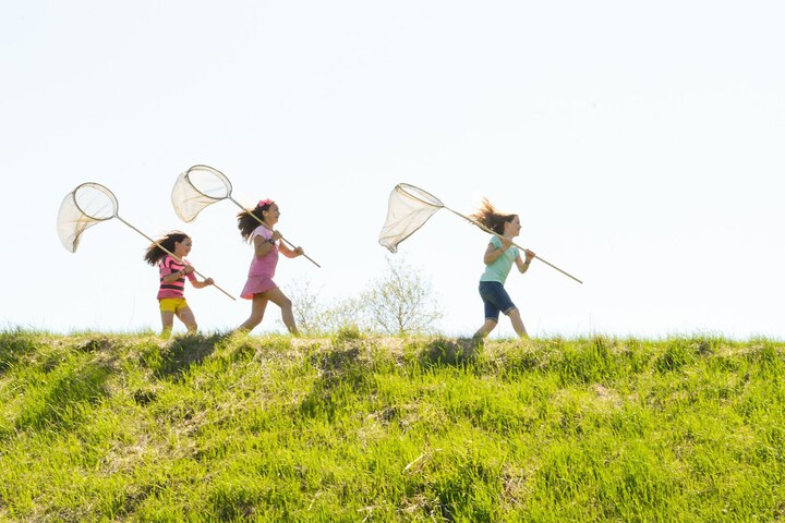 Childrens Activities 106 of 110