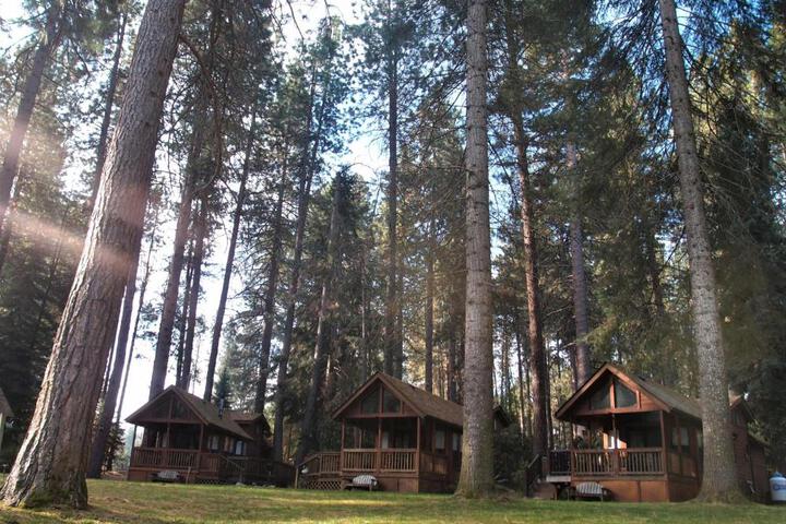 Cold Springs Resort