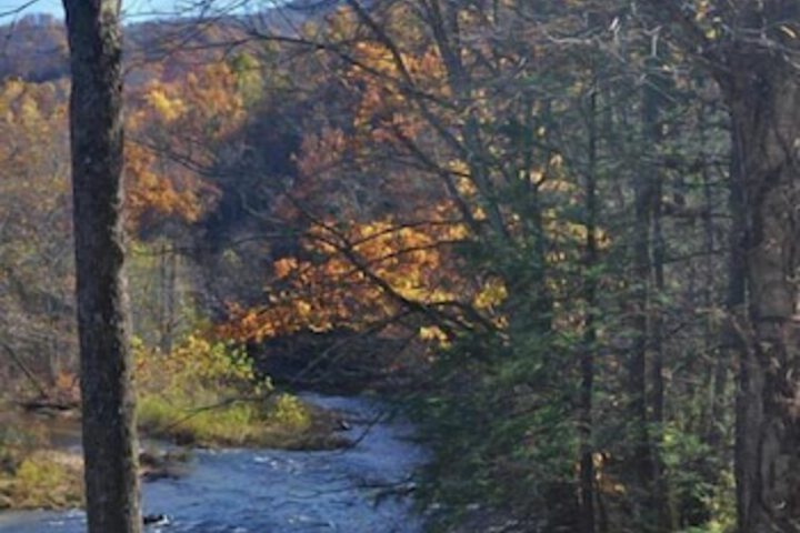 Cheat River Lodge and Cabins