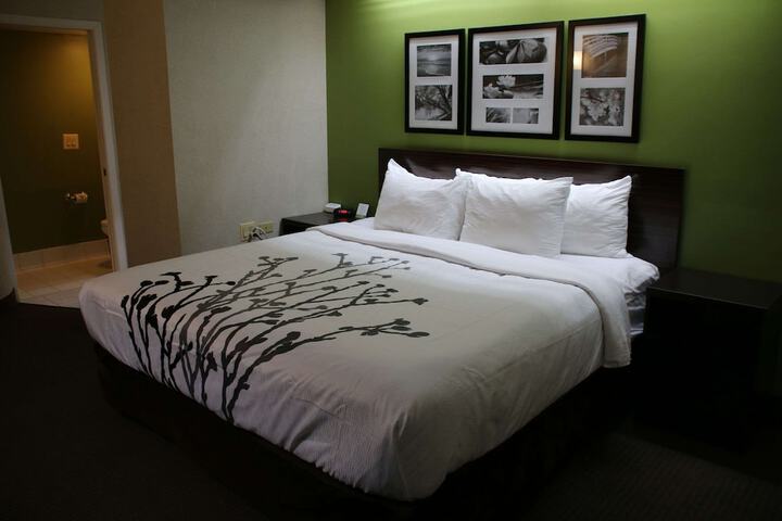 Room 19 of 49