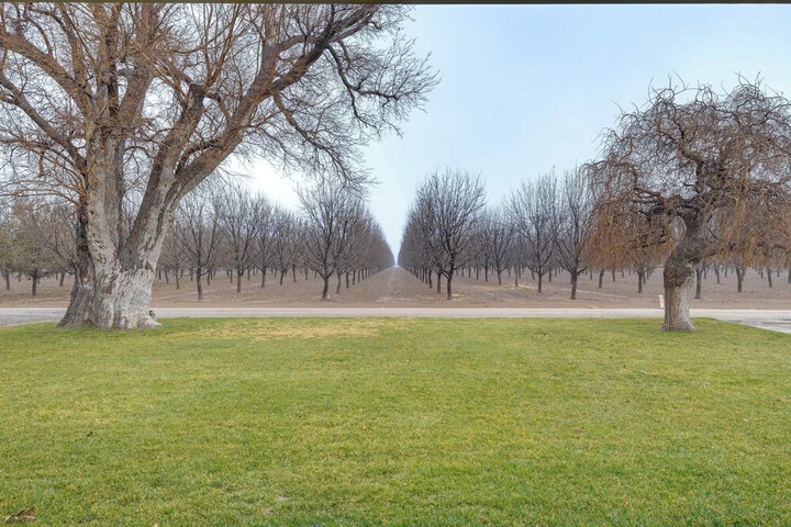 Peaceful Artesia Vacation Rental w / Orchard Views!