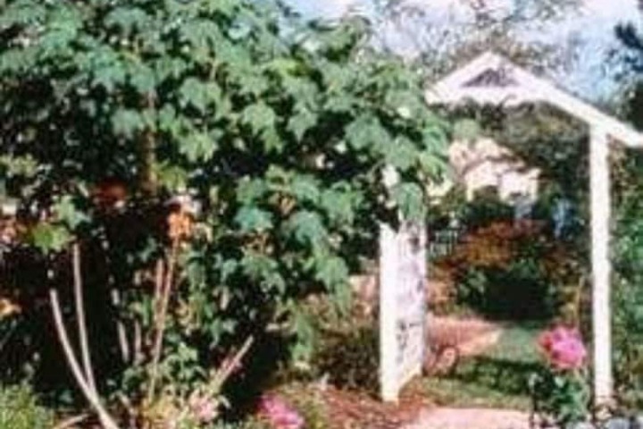 Far View - a Bed & Breakfast Estate