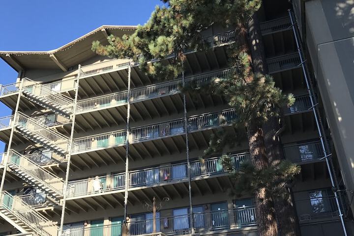 Pepper Tree Inn