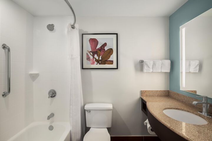 Hilton Garden Inn Tampa North Busch Gardens