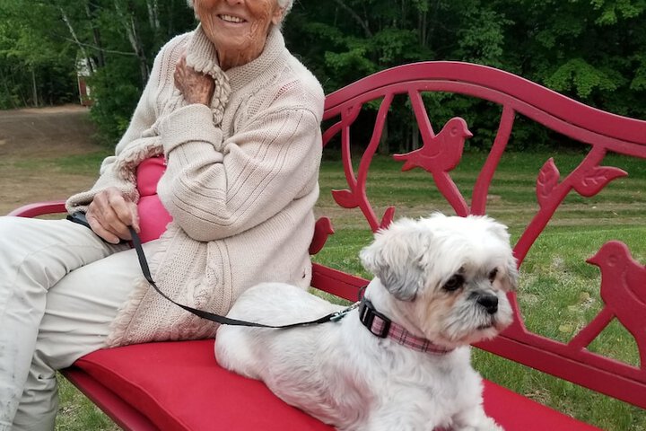 Pet Friendly 94 of 106