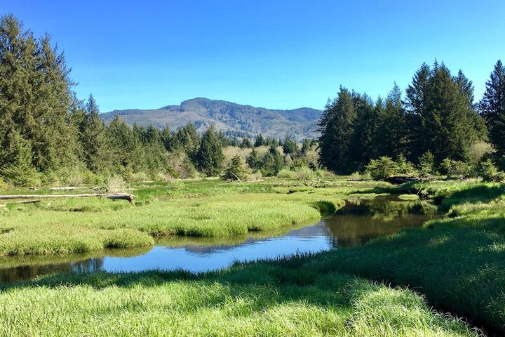 Tillamook Bay City RV Park