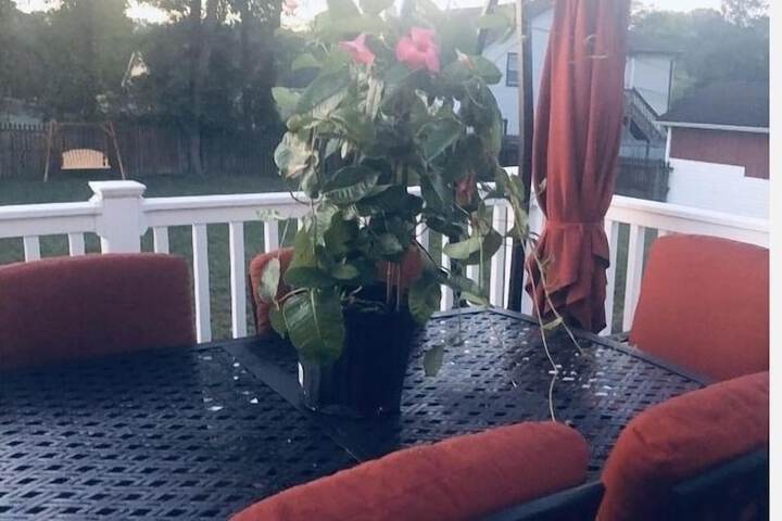 Terrace/Patio 37 of 39