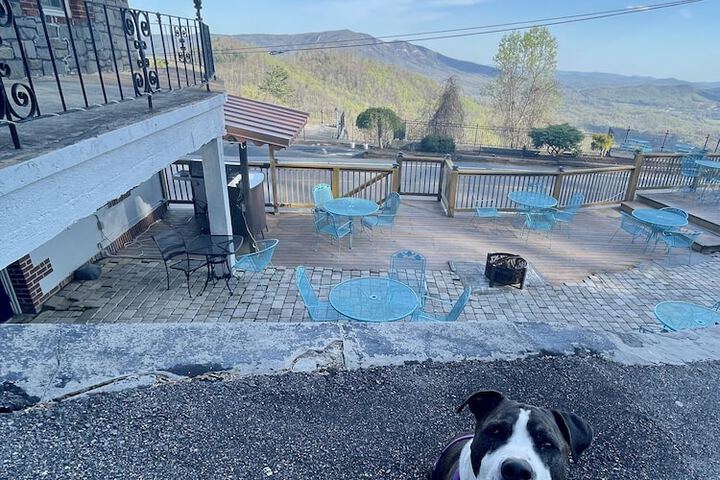 Pet Friendly 140 of 156