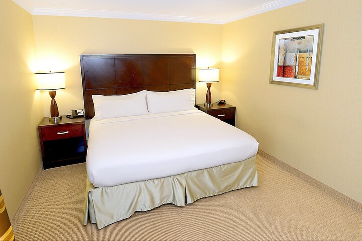 Holiday Inn Hotel & Suites San Mateo-San Francisco SFO by IHG