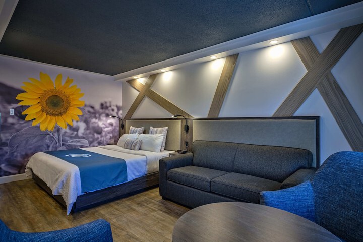 Room 7 of 47