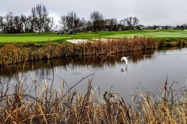 Golf 96 of 115