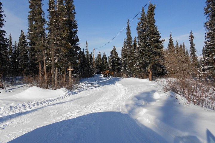 Denali Primrose B & B
