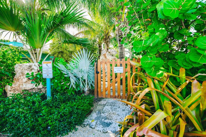 Tropical Breeze Resort