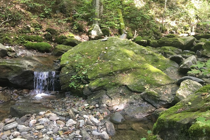 Outdoor Activities 164 of 164