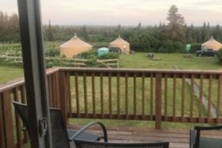 Raven House Alaska