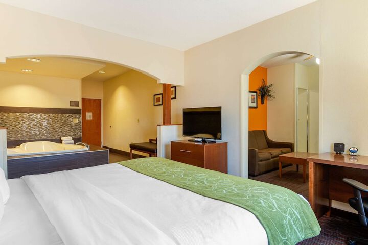 Comfort Suites Stevensville - St. Joseph