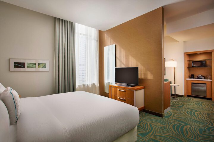 Springhill Suites by Marriott Houston Dwntn / Convention Cntr
