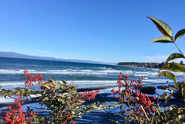 Beach 72 of 79