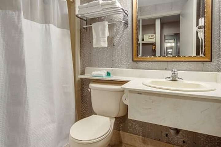 Monte Carlo Inn - Brampton Suites