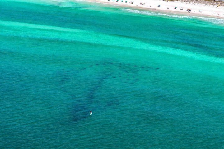 Beach 154 of 176
