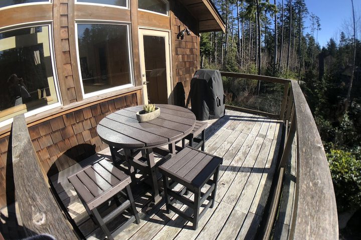 Black Bear Guesthouse