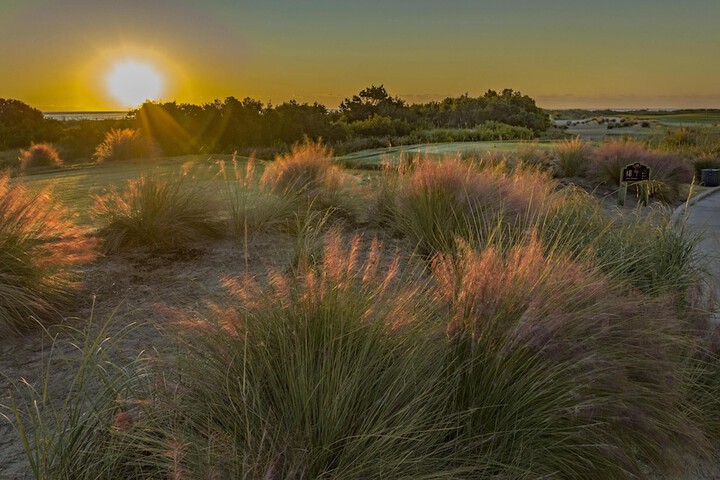 Wild Dunes Resort – Sweetgrass Inn and Boardwalk Inn