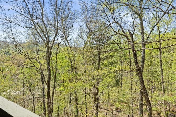 Laurel Valley Mountain Retreat