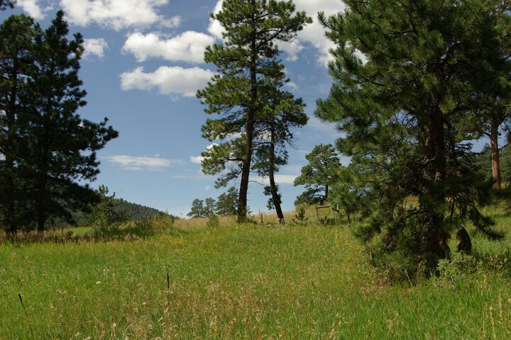 Property Grounds 63 of 63