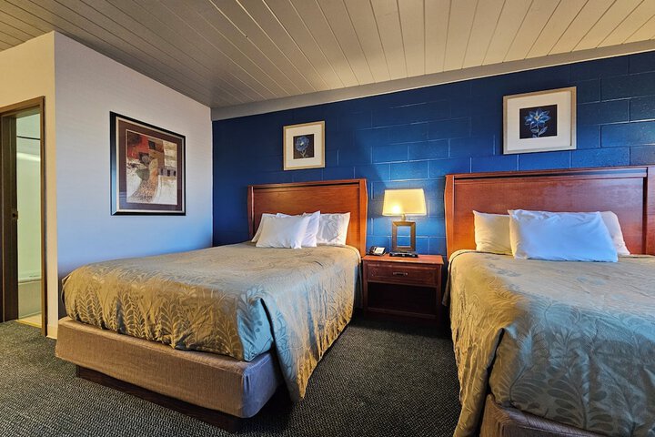 Room 43 of 62