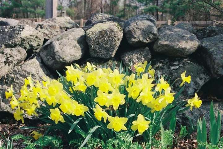 Property Grounds 22 of 29