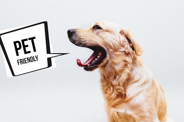 Pet Friendly 36 of 36