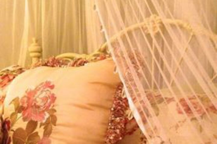 Florence Inn Bed and Breakfast