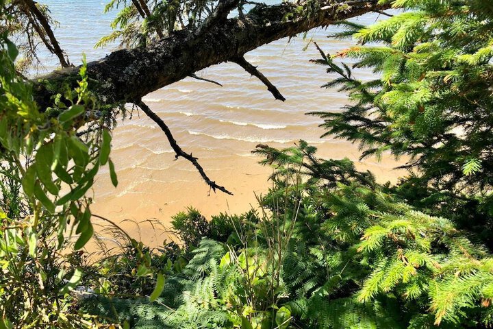 Seagate: Starboard coos Bay~premiere Property