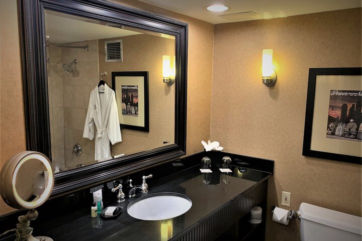 Sheraton Lisle Naperville Hotel