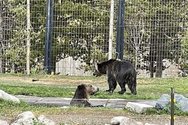 The Fishing Bear Lodge