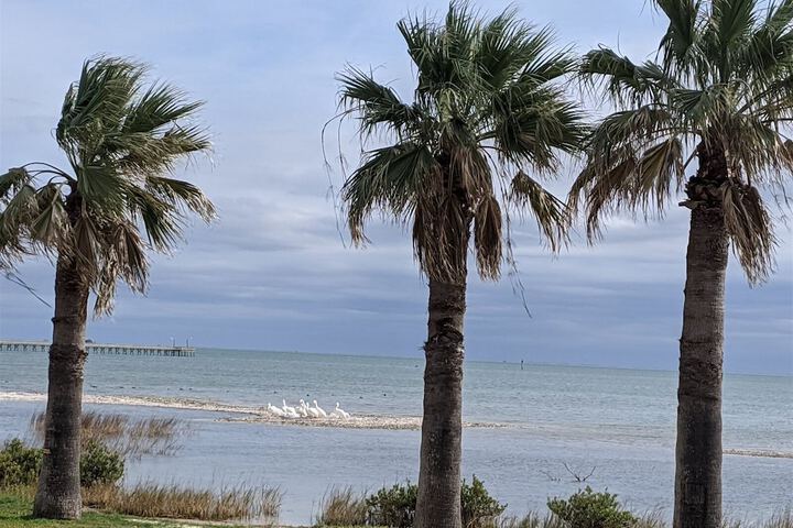 Beach 212 of 248