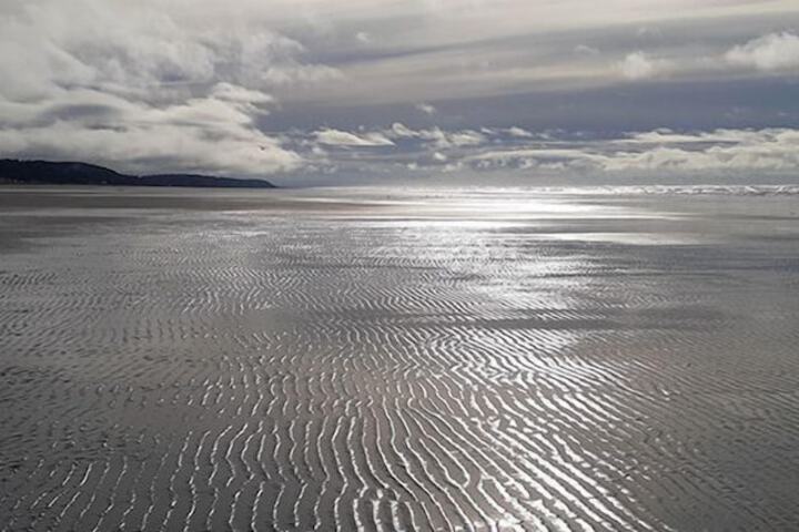 Beach 30 of 54