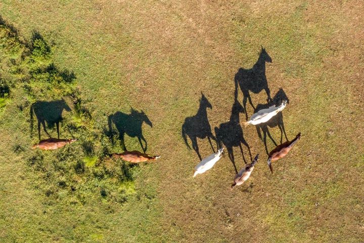 Seventy-four Ranch