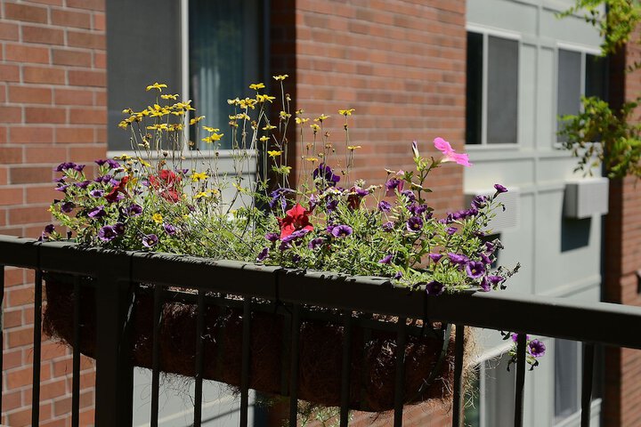 Terrace/Patio 48 of 49