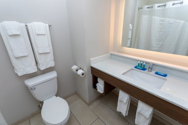 Holiday Inn Express Hotel & Suites Athens by IHG