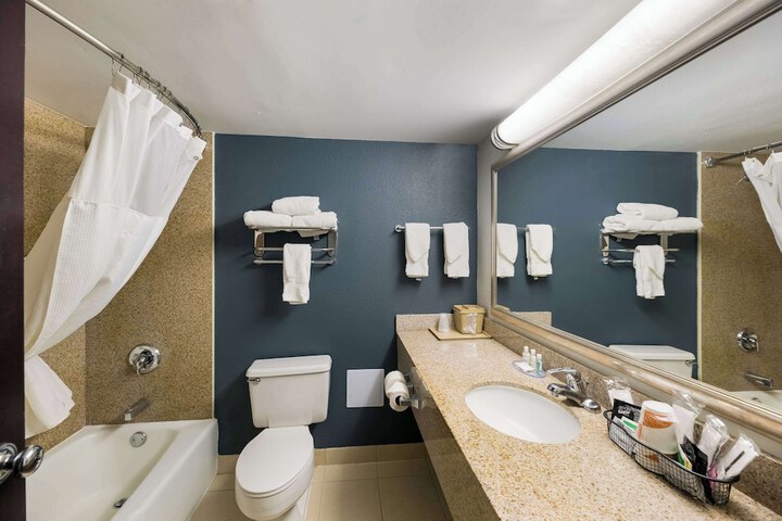 Room 31 of 54