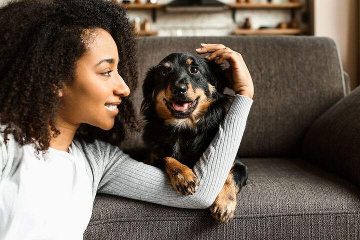 Pet Friendly 40 of 42