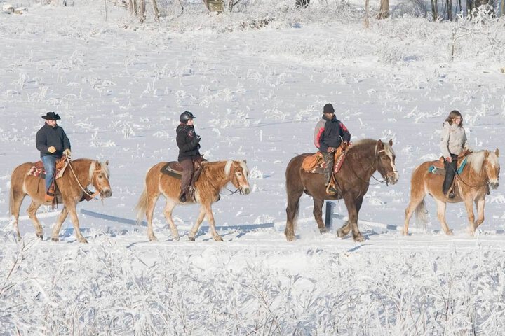 Buffalo Peaks B & B